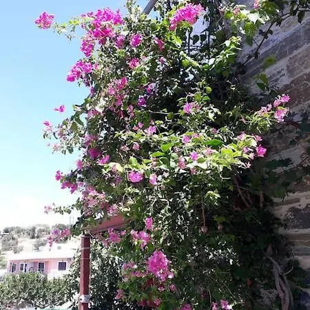 Villa Appetite Marmari (Evia)
