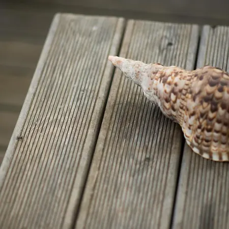 Appetite * Marmari (Evia)