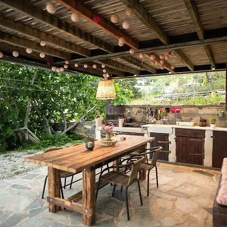 Appetite Villa