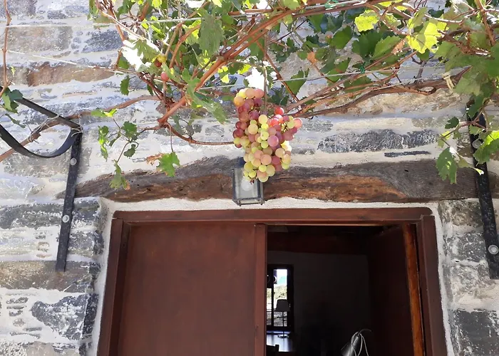 Appetite ヴィラ *